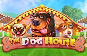 The Dog House Slot Review.jpg