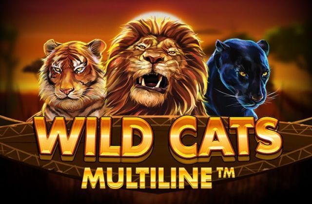 Wild Cats Multiline (Red Tiger) Slot Demo All Summary Explained.jpg